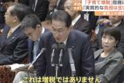 【悲報】岸田首相「月500円は増税ではない。実質的な負担は全体として生じない」←これ