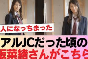 【日向坂46】リアルJCだった頃の小坂菜緒さんがこちら #日向坂46 #日向坂 #日向坂で会いましょう #乃木坂46 #櫻坂46