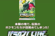 【悲報】ポケモンカード、転売ヤーの買い占めで大荒れｗｗｗｗｗｗｗｗｗ