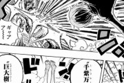 【画像】ワンピのロビンのこの技クッソワロタｗｗｗｗｗｗｗｗｗｗｗｗｗｗ