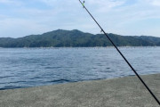 【画像】東北で海釣り～アナゴの数釣り挑戦編～