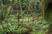 まるで「ラピュタ」の世界だ...　自然に飲み込まれた遊具が退廃的で美しい