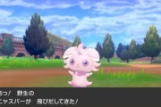 お前らが初めて見つけた色違いポケモンは？