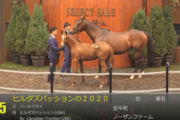 【競馬】ハーツ産駒ヒルダズパッションの2020、3億8000万円　ホウオウ・小笹芳央氏が落札