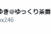 【悲報】論破王ひろゆき、「ゆっくり商標事件」に乗っかり始めるｗｗｗｗ