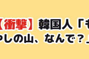 【衝撃】韓国人「日本のラーメン、もやしが山盛りな本当の理由」