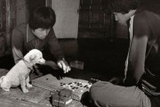 韓国人「本当の意味で犬と人間が共存していた1970年代の韓国を見てみよう」