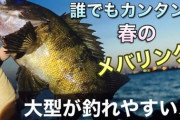 【参考動画】タビカツリ夫婦が教える！メバリングでの釣果アップの秘訣！