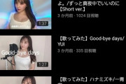 【悲報】女YouTuber、過激路線だけでは伸びないことが判明