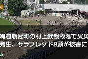 北海道新冠町の村上欽哉牧場で火災が発生、サラブレッド8頭が被害に