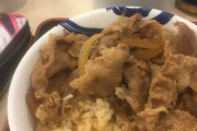 【伝説】あの「紅しょうが牛丼」食べるぞwwwwwwww（画像あり）