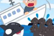 シャチ「アシカの大群が居たぞー！襲えー！」→ アシカ「あそこの漁船に逃げ込めー！」 → 漁師「うわああああ　船が沈んじゃうー」　南米チリ沖
