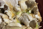 ワイの創作料理「鶏モモ丼が旨すぎる件