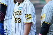 阪神・小谷野コーチのふっくらボディ