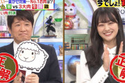 櫻坂46初代インテリ女王の原田葵、お肉クイズ大正解！いい質問も連発【林修の今でしょ！講座】