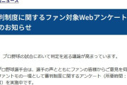 プロ野球選手会が審判制度に対する怒りのアンケートを実施！　お前らも急げ！！！