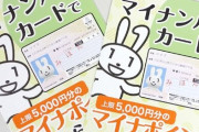 マイナポイントに登録したいキャッシュレス決済1位は「PayPay」 色々怖くないか･･･？