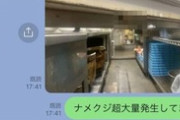 「調理場にナメクジ」大阪王将の元従業員がSNSで告発→市が立ち入り調査するも「ナメクジは確認されなかった」