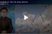 【韓国KBS】 王桜起源論争-科学と民族主義…「済州王桜が日本に伝わった」は未だ推論の領域[04/23]  [LingLing★]