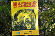 野生動物 恐怖体験
