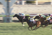 【競馬】グローリーヴェイス　次走の宝塚記念はレーンと新コンビ