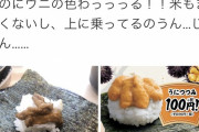 【画像】はま寿司のウニがこちらｗｗｗｗ
