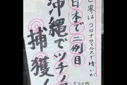 「日本で二例目　沖縄でツチノコ捕獲！」情報