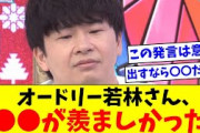 【日向坂46】オードリー若林さん、●●●が羨ましかった模様wwww【おひさま＆リトルトゥースの反応集】
