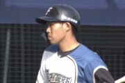 【悲報】日ハム難波、4打数無安打3三振…
