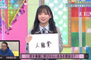 【日向坂46】『ひなあい』でヒヤッとしたシーンｗｗｗｗｗｗｗｗｗｗ