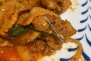 【韓国】「韓牛から注射針」のニュースを見ながら豚肉炒めを食べていたら口の中で「ガリッ」→注射針だった