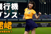 台湾プロ野球のチアの動画が可愛すぎるから見て欲しい