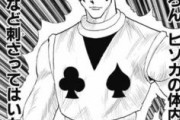 【ハンターハンター】ヒソカって「ゾルディック家」と戦いたいって思わないのか？？？