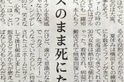 【悲報】キングカズ(54)さん、ピッチで死ぬのが本望ｗｗｗｗｗ