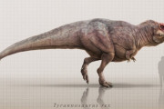 【画像】最新のティラノサウルスさん、ちょっと盛り返すwwwww