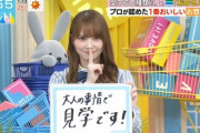 【日向坂46】かとし、ガチの"大人の事情"発生で見学へ【ラヴィット】