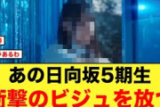 あの日向坂5期生、ビジュが強すぎておひさま衝撃を受ける【日向坂46】