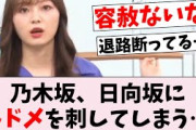 【悲報】乃木坂の●●←日向坂がガチでピンチな件…に対するオタの反応集