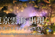 ホテル椿山荘東京で日本最大級の霧の庭園演出！噴霧量2倍の「超雲海」スタート