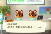 【あつまれどうぶつの森】名前、島の名前、初期住人、地形、飛行機の色、半球…　チュートリアルにどれだけかかるやら…