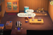 【雑談】『あつまれ どうぶつの森』お店が閉まるの早すぎないか？もう少し営業時間を伸ばして欲しいな…