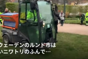 スウェーデンの公園に大量のフンを撒き密集回避！ その光景を撮った衝撃的動画が公開ｗｗｗｗ