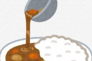 カレーライスの具に魚系が少ない理由wwwwwwww