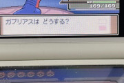 220時間かけて昨日やっと出た色違いのポケモン見る？