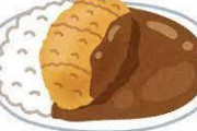 【議論】カツカレーってそんなだめか？