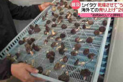 干しシイタケにパリで注目集まる 健康志向で「日本のうま味」人気
