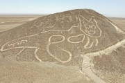 【画像】ペルーにあるネコの地上絵、すごすぎるｗｗｗｗｗｗｗｗｗｗｗｗｗｗｗｗｗｗｗｗｗｗ