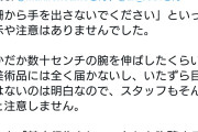 【悲報】鹿乃つの、柵の中の美術品を触ろうとして炎上ｗｗｗｗｗｗ