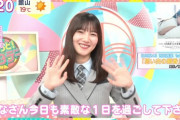 日向坂さん、本日からひっそりと東京ドーム2daysコンサート