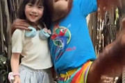 【動画】中国の美少女、可愛すぎる